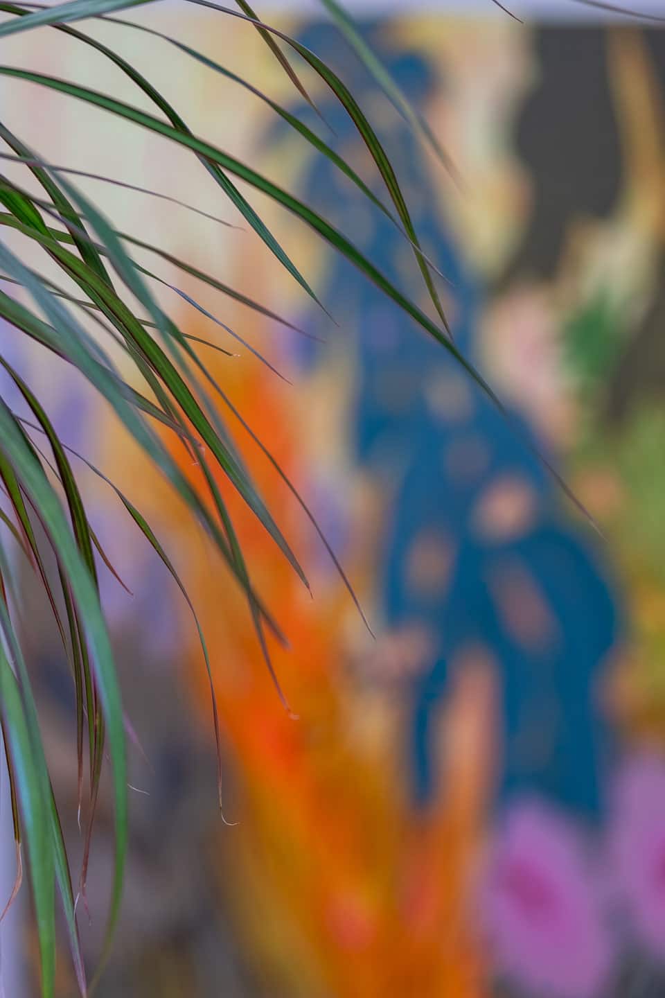 Giving Entry at NAMARA projects